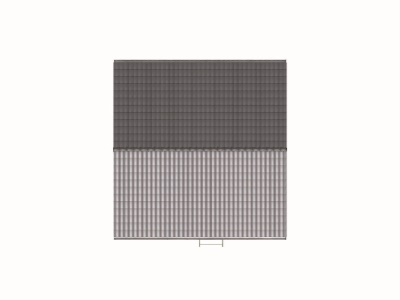 Skelet B